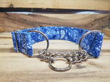 Blue Paisley 1.5" XL Chain Martingale Collar 19"-28"